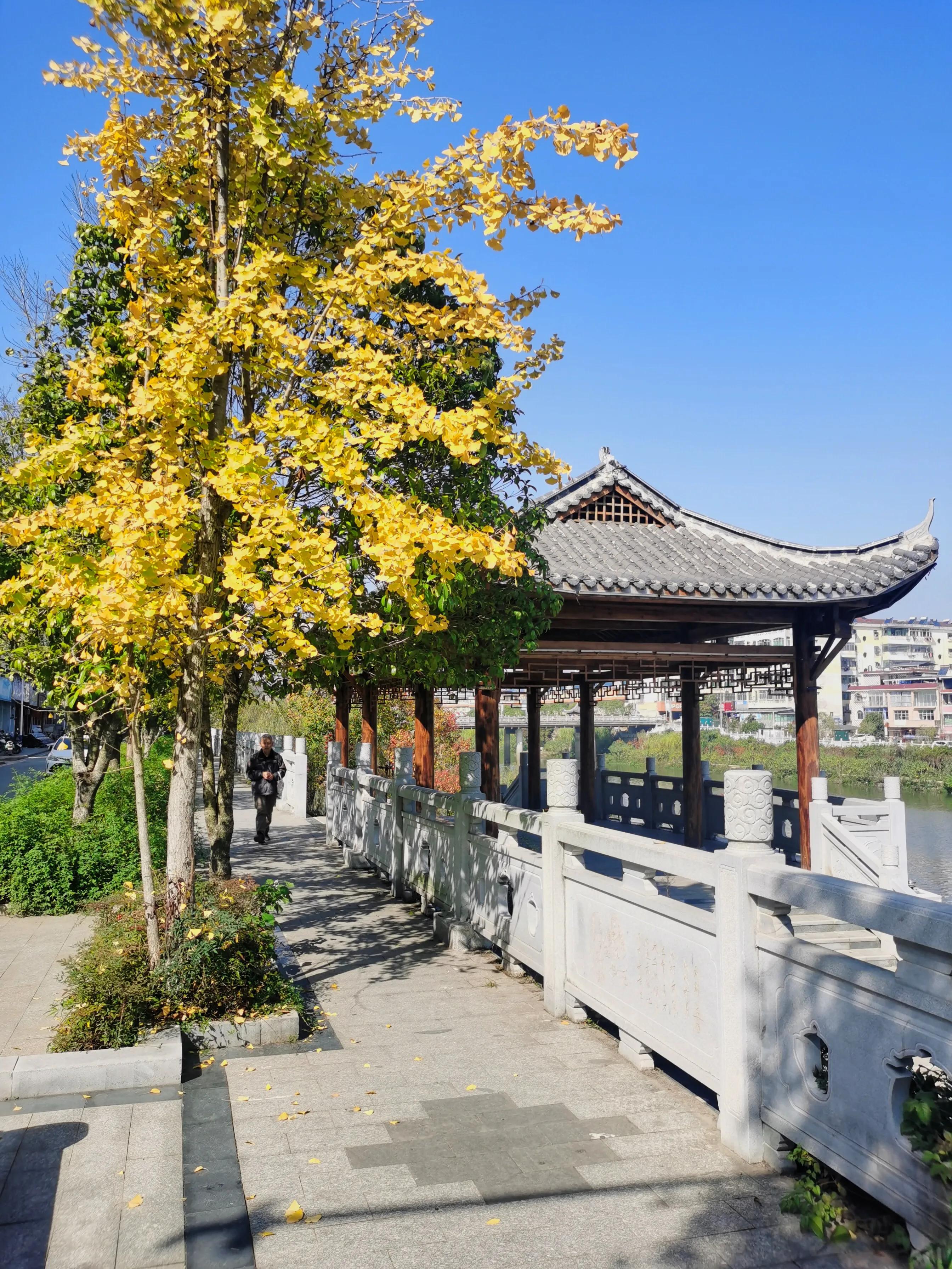 手拍世界（手机摄影平台）-群员作品集（总第733期）