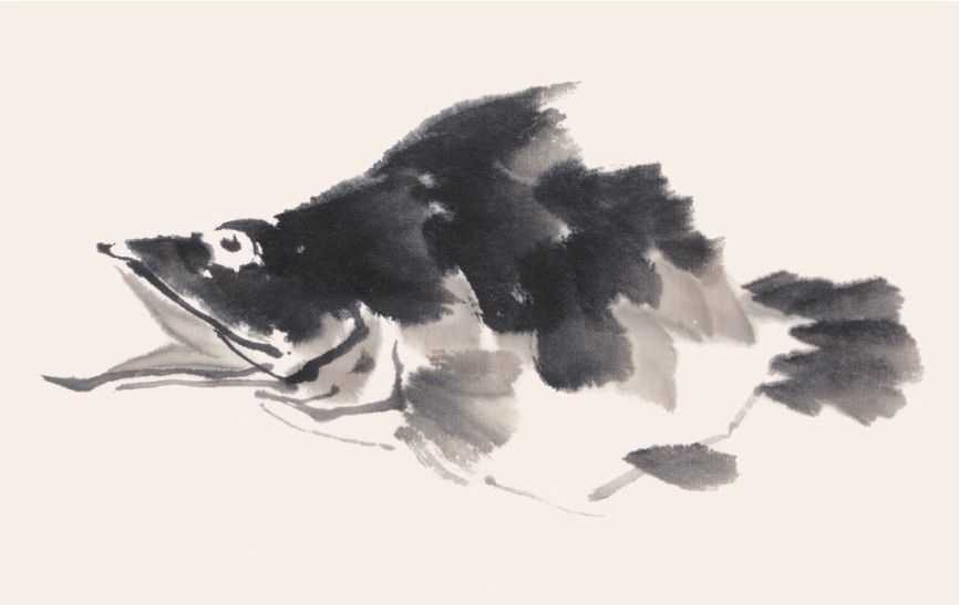 零基础水族的画法：怎么样用双勾发画金鱼鲤鱼？学会几分钟一幅画