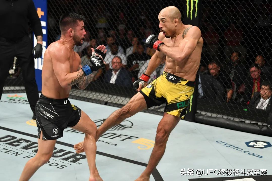 提前到来的“答案”| UFC265后记