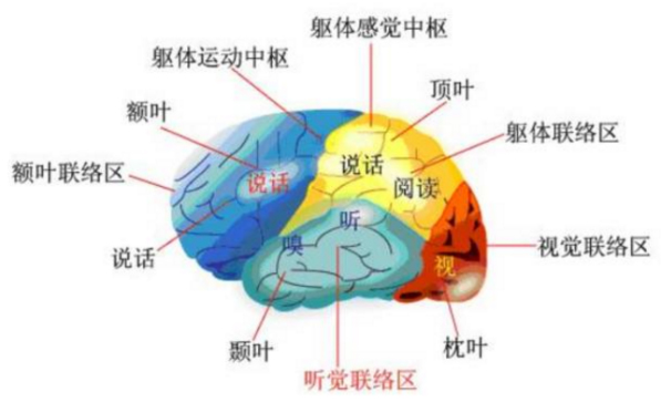 宝宝错过爬行期，影响大脑发育