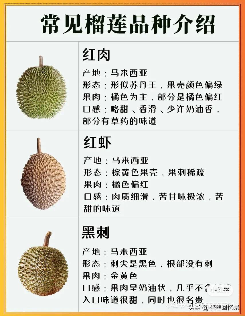 9种常见的榴莲品种介绍