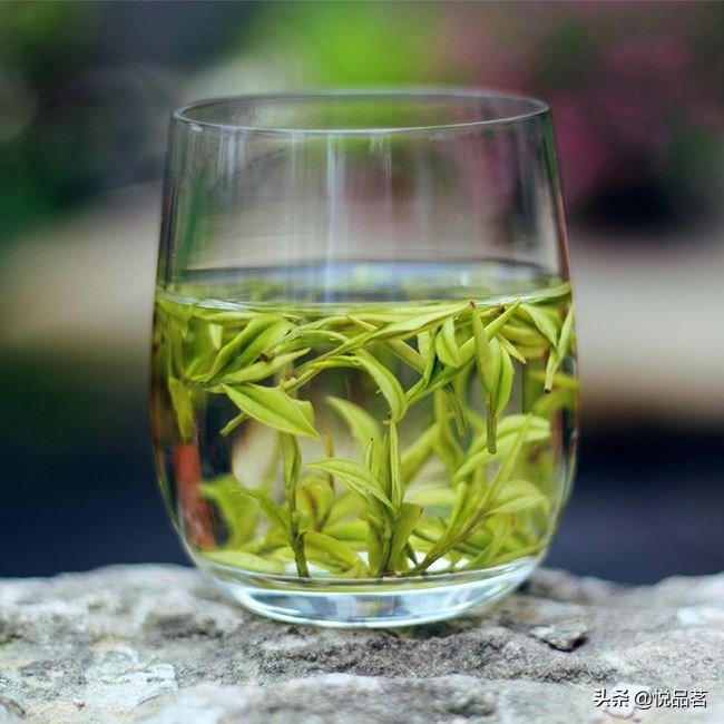 乌龙茶是绿茶吗（了解乌龙茶和绿茶的三大区别）