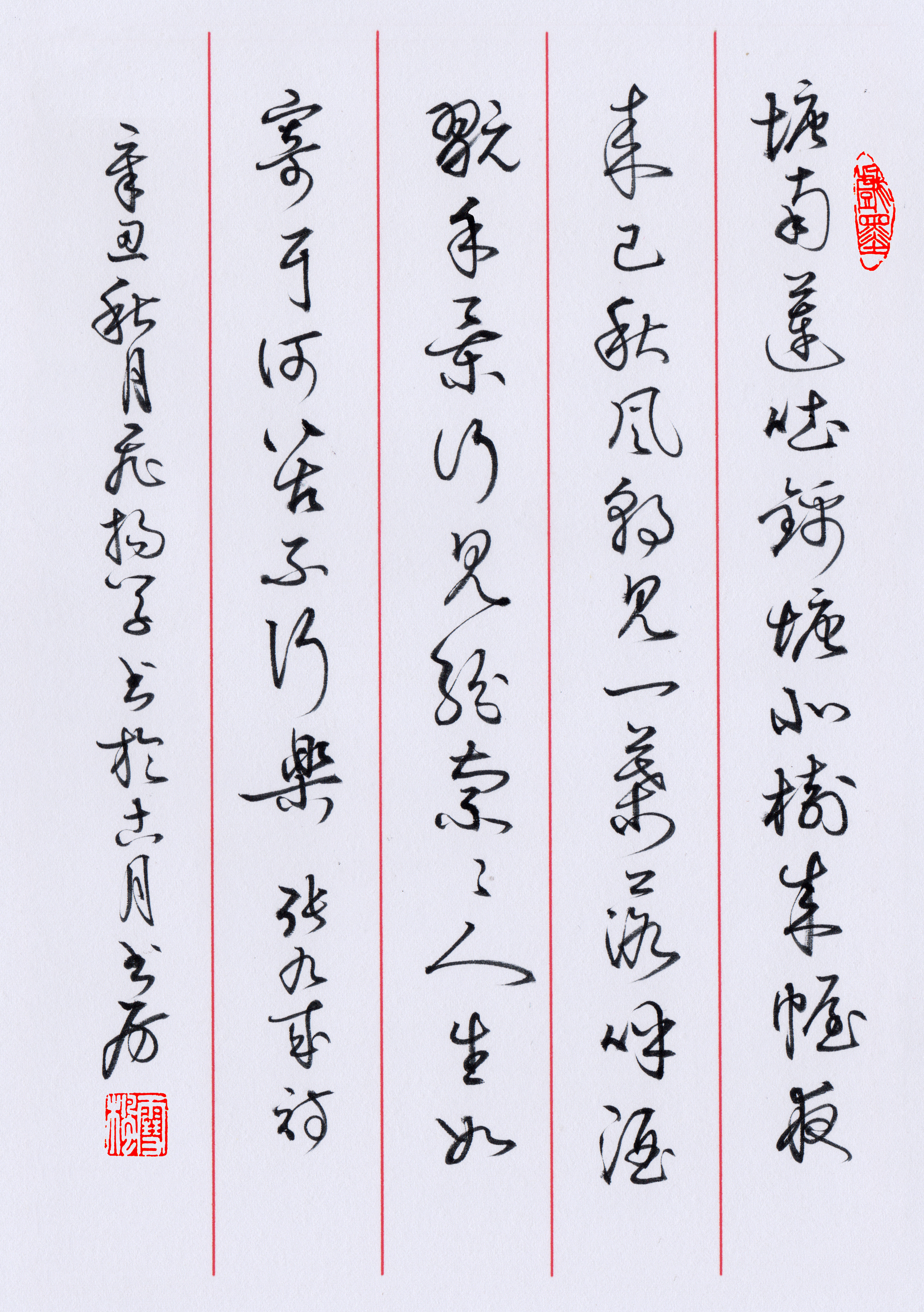 精致飞扬书法手抄经典诗词:人生如寄耳,何苦不行乐