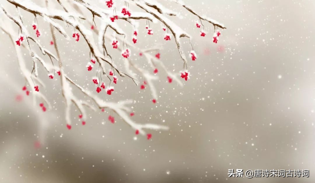 十月江南天气好，可怜冬景似春华——白居易《早冬》