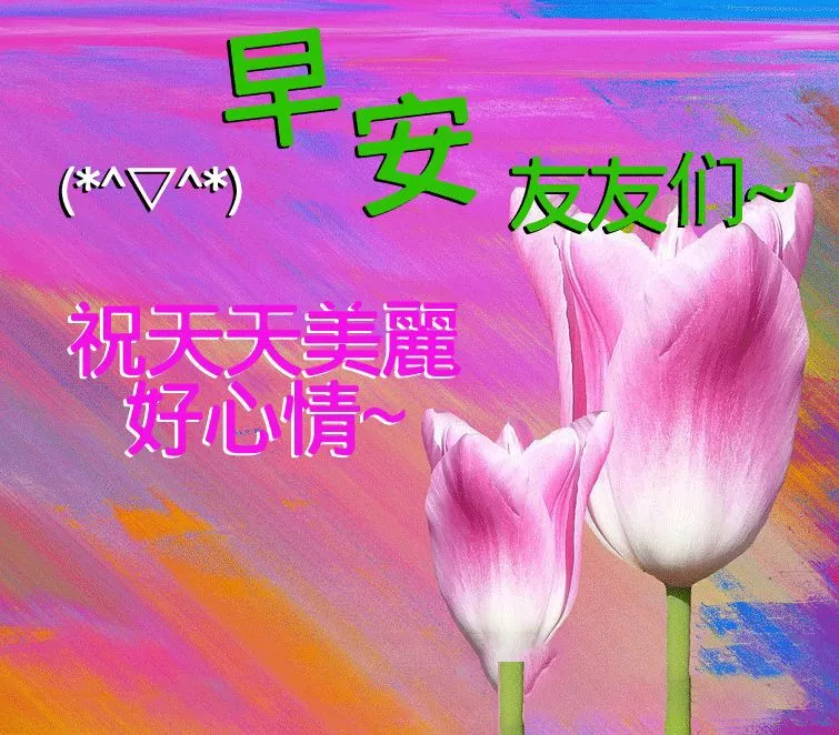 我们要学习向日葵，做一个积极吸收正能量的人，早安