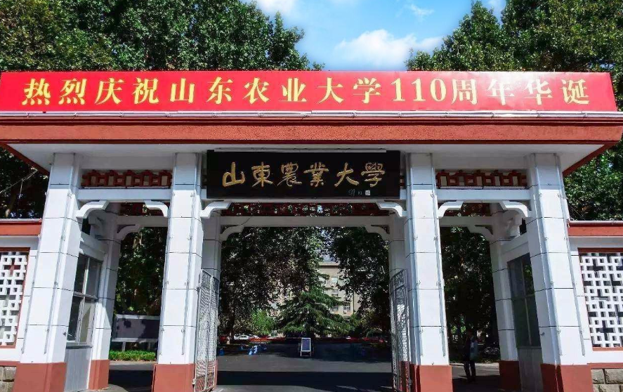 山东省大学排名出炉，青大表现亮眼，山东大学独占鳌头