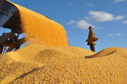 盘点10个区块链农业企业应用：90%以上发力农产品溯源