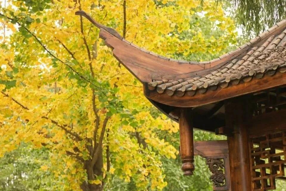 央视聚焦，中宣部“点赞”！湖北这所大学，坐落在5A级景区中