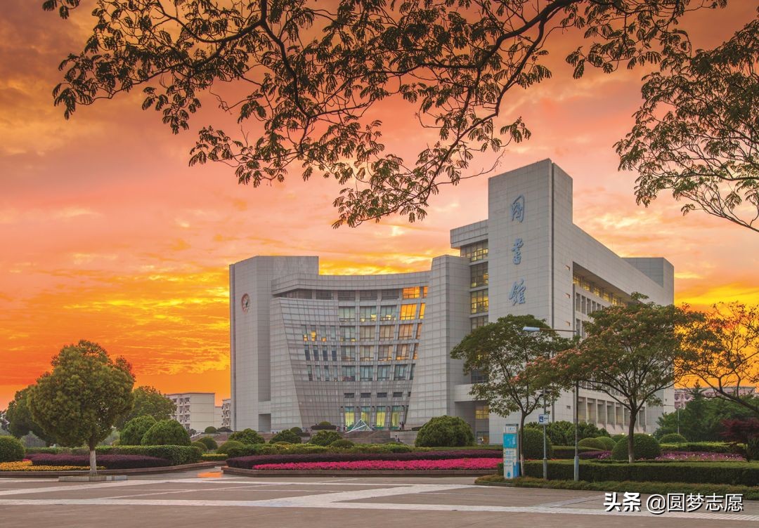 曾被称为“一本守门员”的上海大学和东华大学，现在发展怎么样？