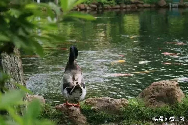 珠海一中彻底火了，全省第一