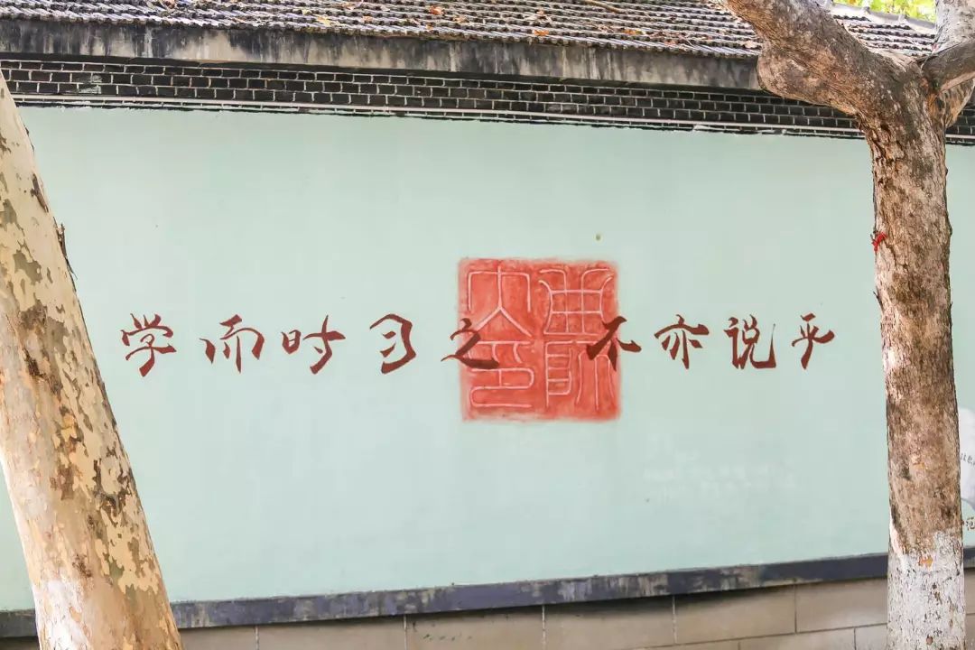 我的母校曲阜师范大学：有光的地方，就有人在学习。