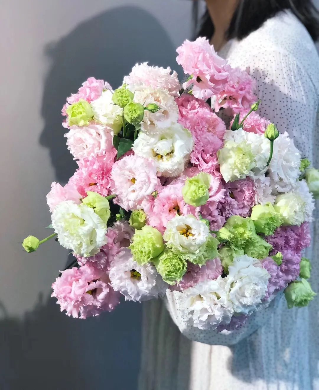 白色洋桔梗花语是什么（洋桔梗养护注意事项）