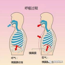 瑜伽「 呼吸法 」不僅僅是呼吸那麼簡單...