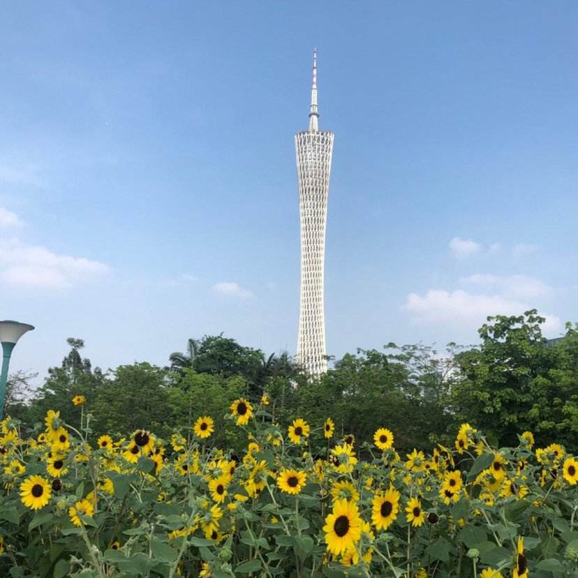 广东省和广州的本专科院校最全名单，高考志愿填报必看