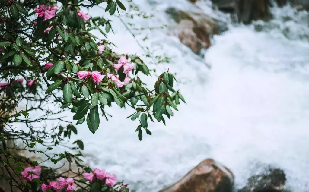 凭准考证免门票！成都周边这8大景区放大招，最长持续到9月