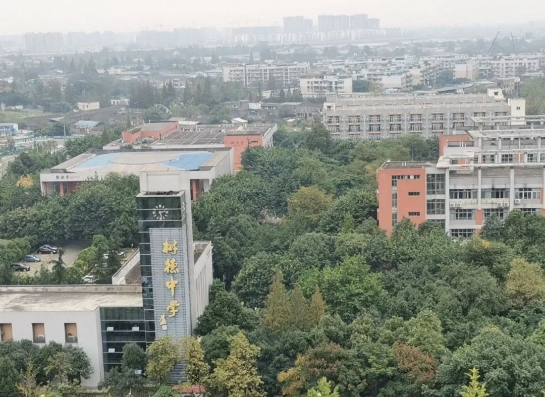 四七九随你挑，选哪个好？