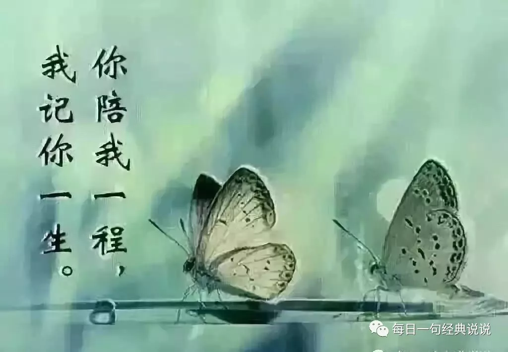 心情不好的伤感句子，句句说到心坎上