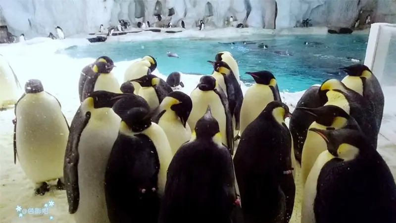 长隆欢乐世界旅游攻略景点必去（三天三夜欢乐长隆之旅）