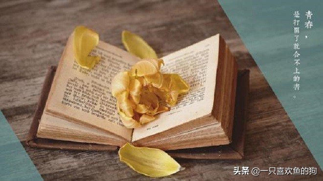 我，一个念旧的人，活的就像个拾荒者