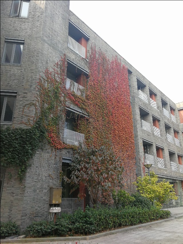 这里不仅有大树、高楼，更有大师——带你参观南京大学仙林校区