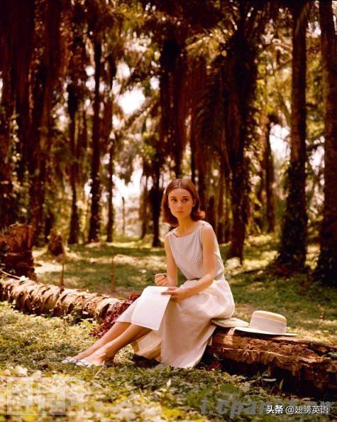 英语课堂标准用语大全