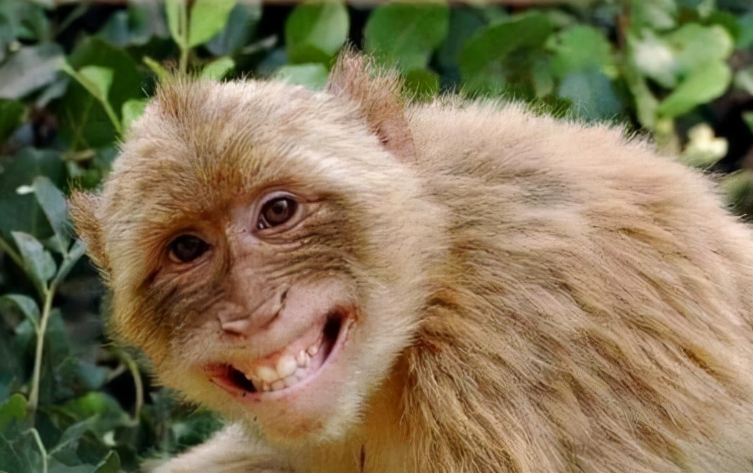 天津财经大学珠江学院地址（天津高校放寒假时间已公布）