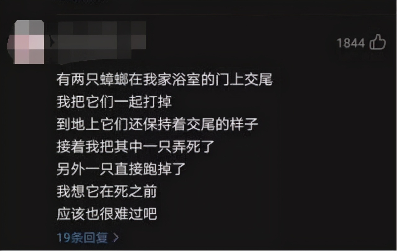 网抑云阴乐被群嘲，但我却笑不出来