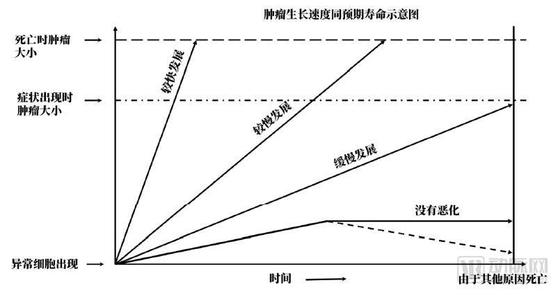 10万胶囊胃镜数据透视中国消化道健康状况，探讨器械智能化价值