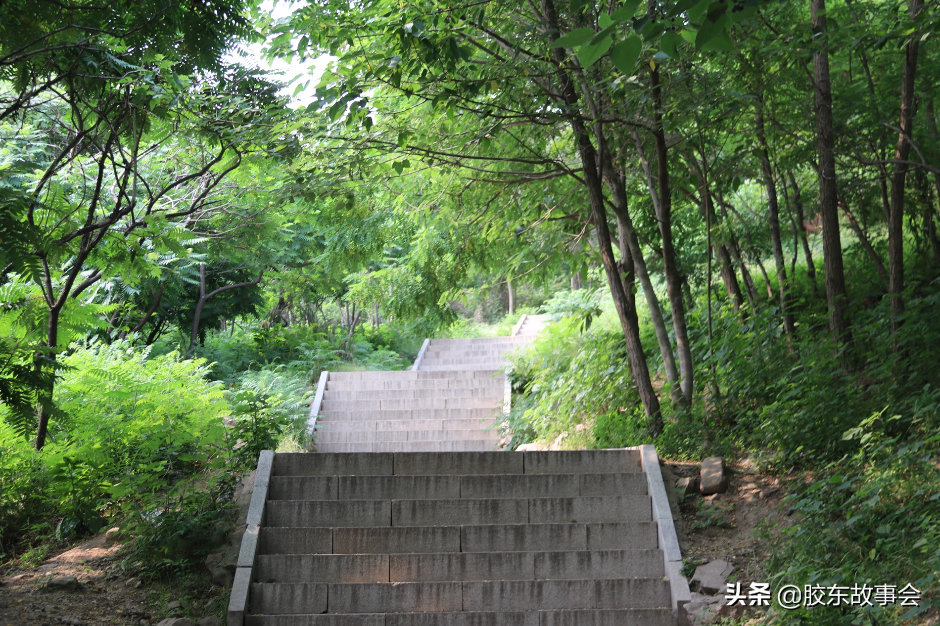 胶东游记：在即墨的马山上，俯瞰青烟威荣城际铁路