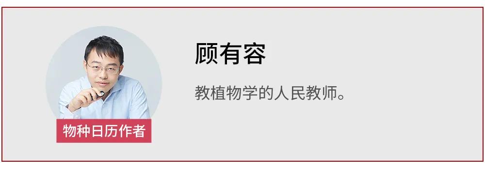 桫椤：掐我叶子炒菜之前，能念对我的名字吗？