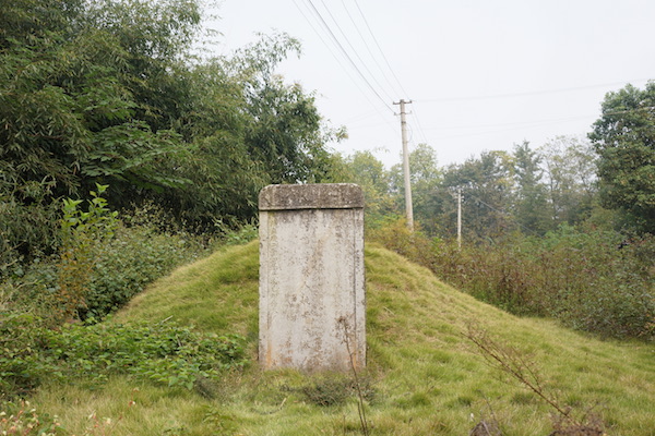 姚鼐在桐城派中地位最高是因为桐城姚鼐记以桐城标明自己所属流派
