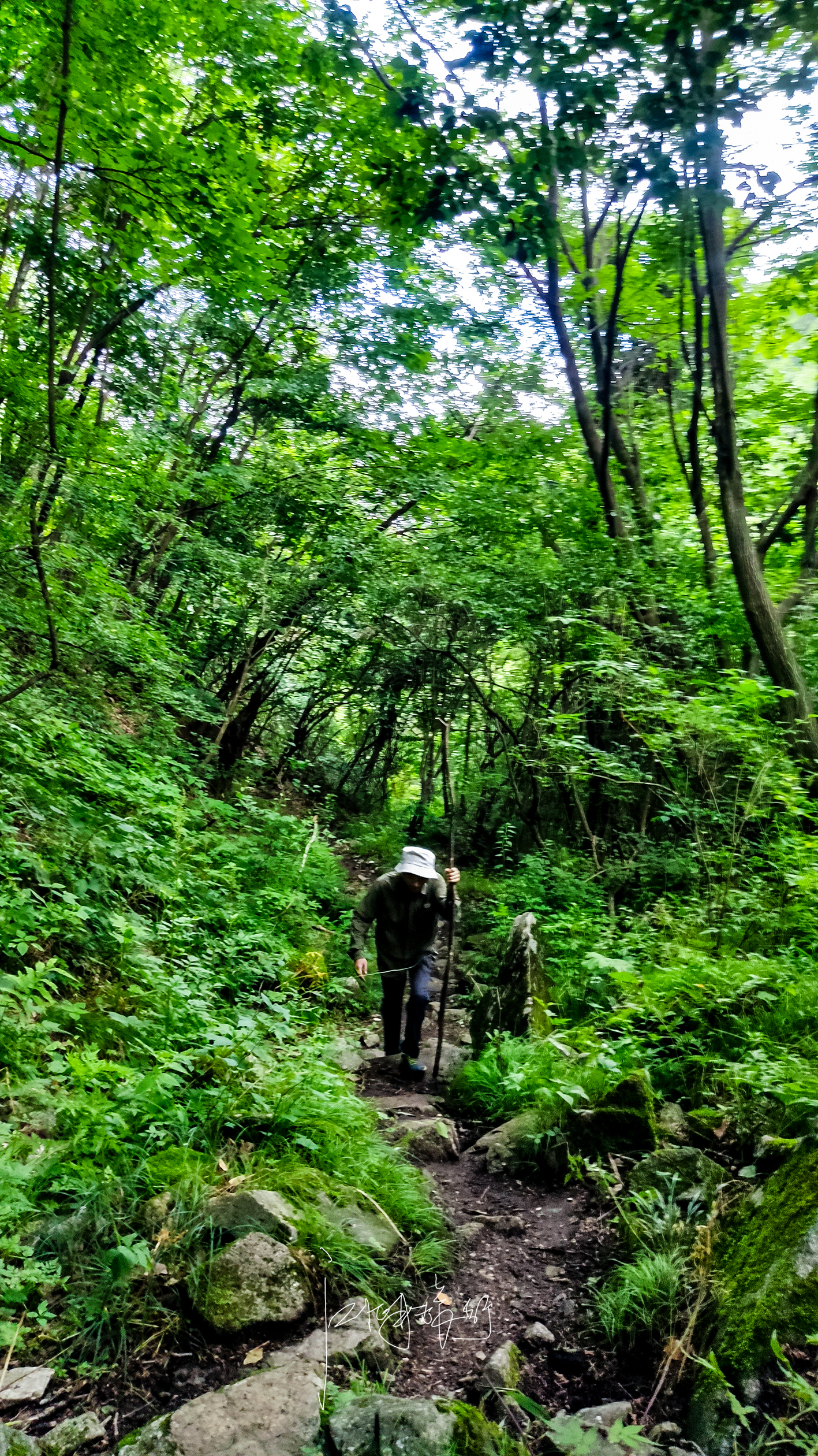 秦岭最清凉的人间秘境，一路都是美景，这才是最舒服的自驾游线路