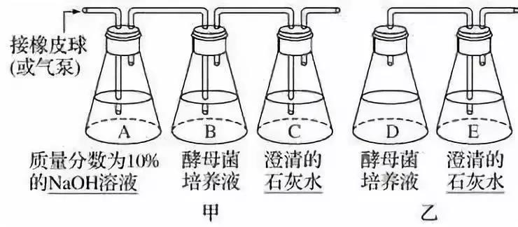 涵盖高中所有生物实验知识点