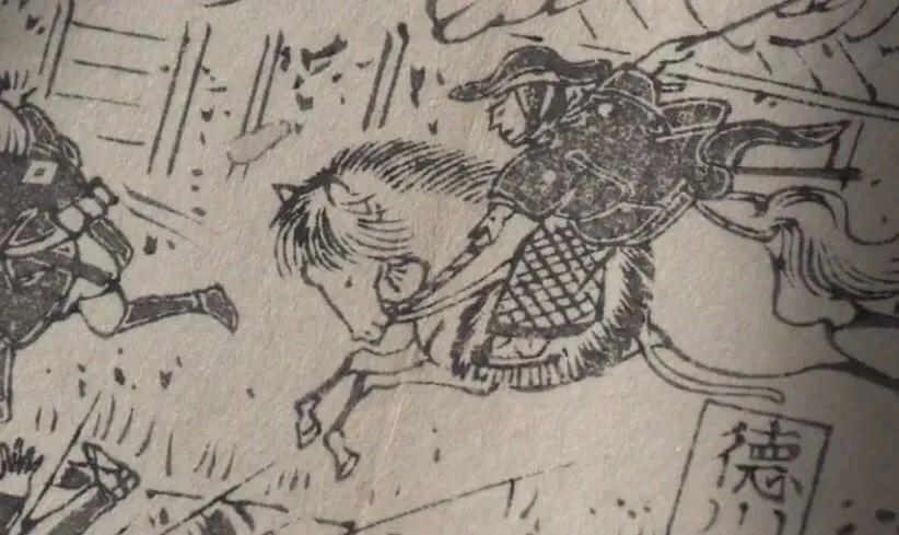 东瀛志：为什么日本人如此喜欢菊花？