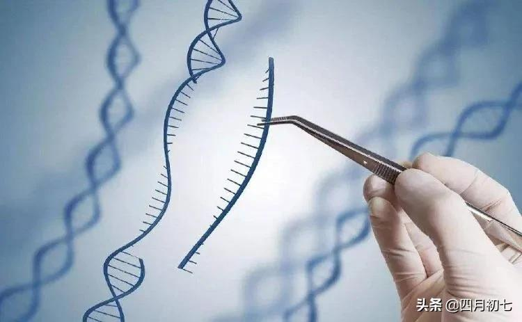 三分钟让你搞懂基因工程简史