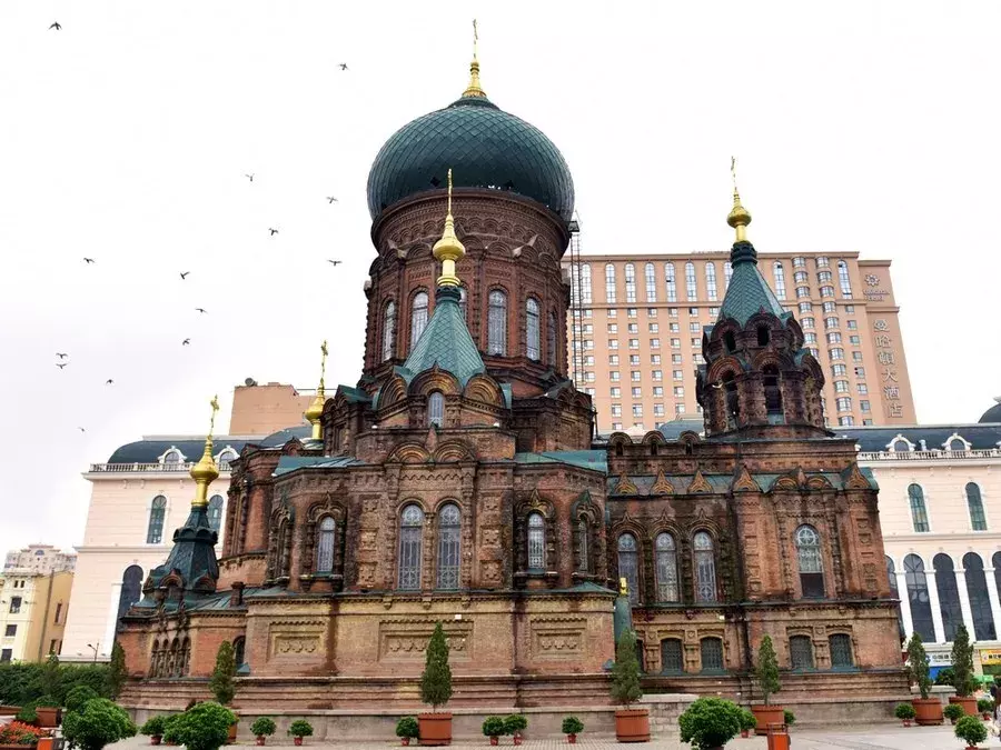 东北游学报名倒计时3天