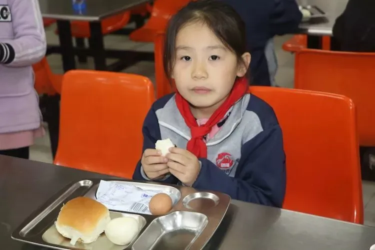 2020衡水一中保定分校（贺阳外国语学校）幼升小，小升初火热报名