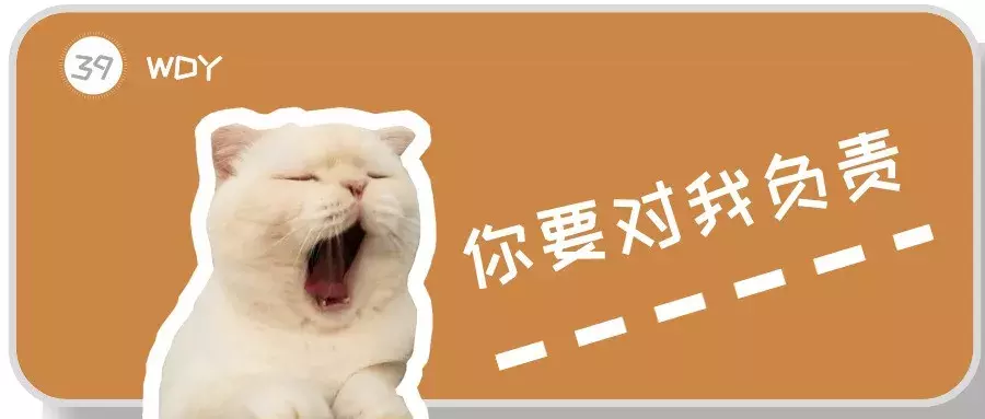 猫咪化毛膏品牌推荐：养猫家庭必备的毛球调理产品指南