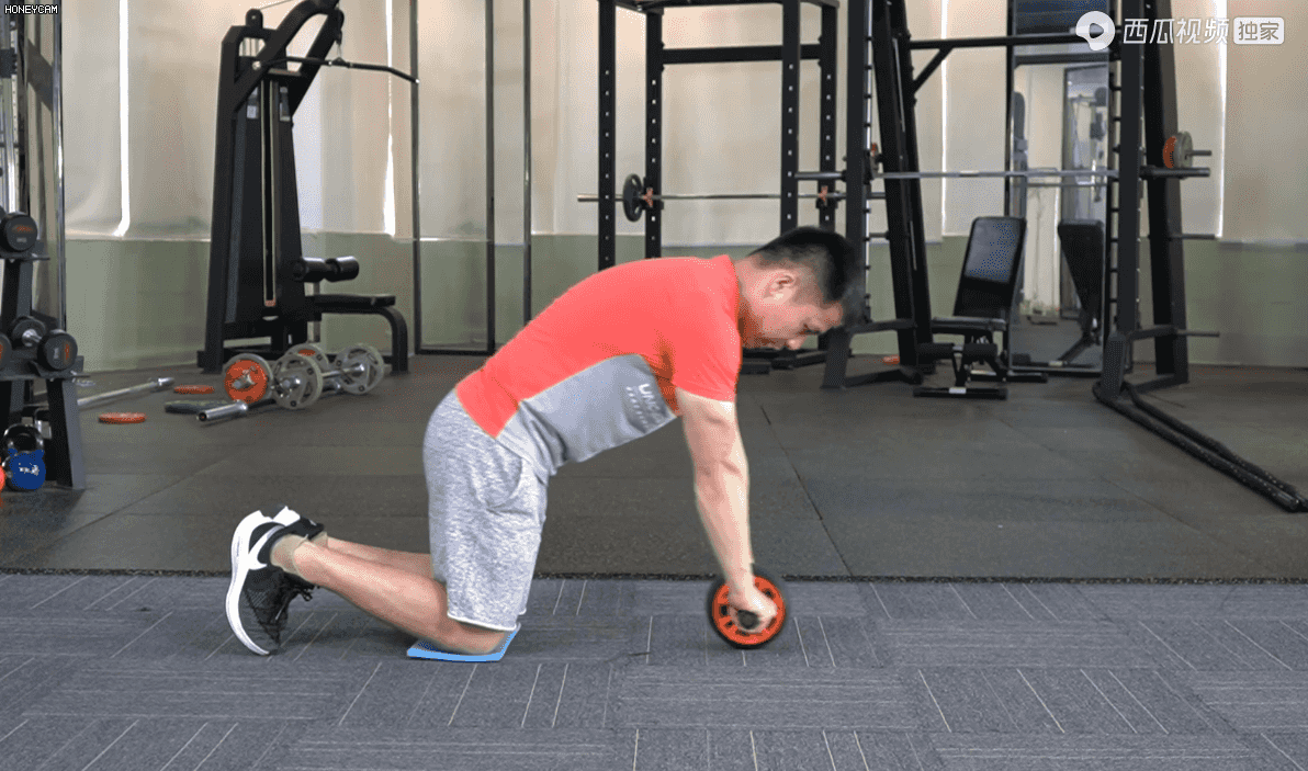 一个健腹轮等于半个健身房,提高核心,但想用好是有诀窍的