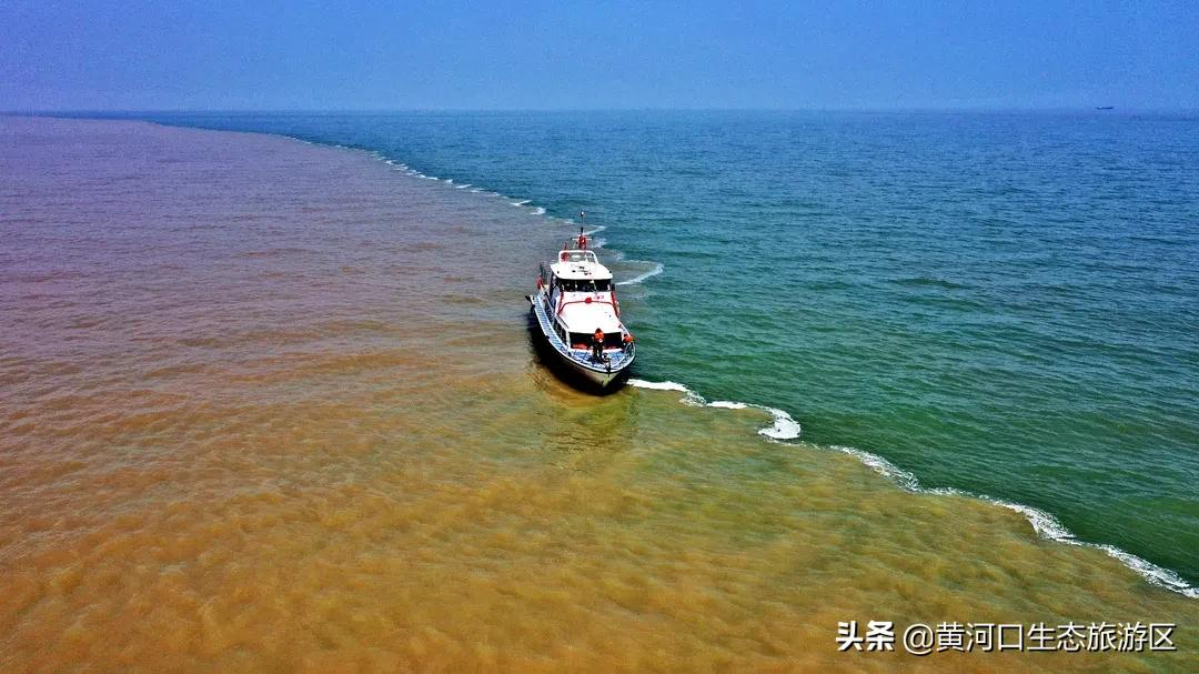 【黄河口生态旅游区】新晋百强 华东第一!