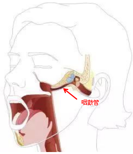 反复耳鸣、脑鸣是不是因为脑子有病？脑科医生告诉您可能的原因