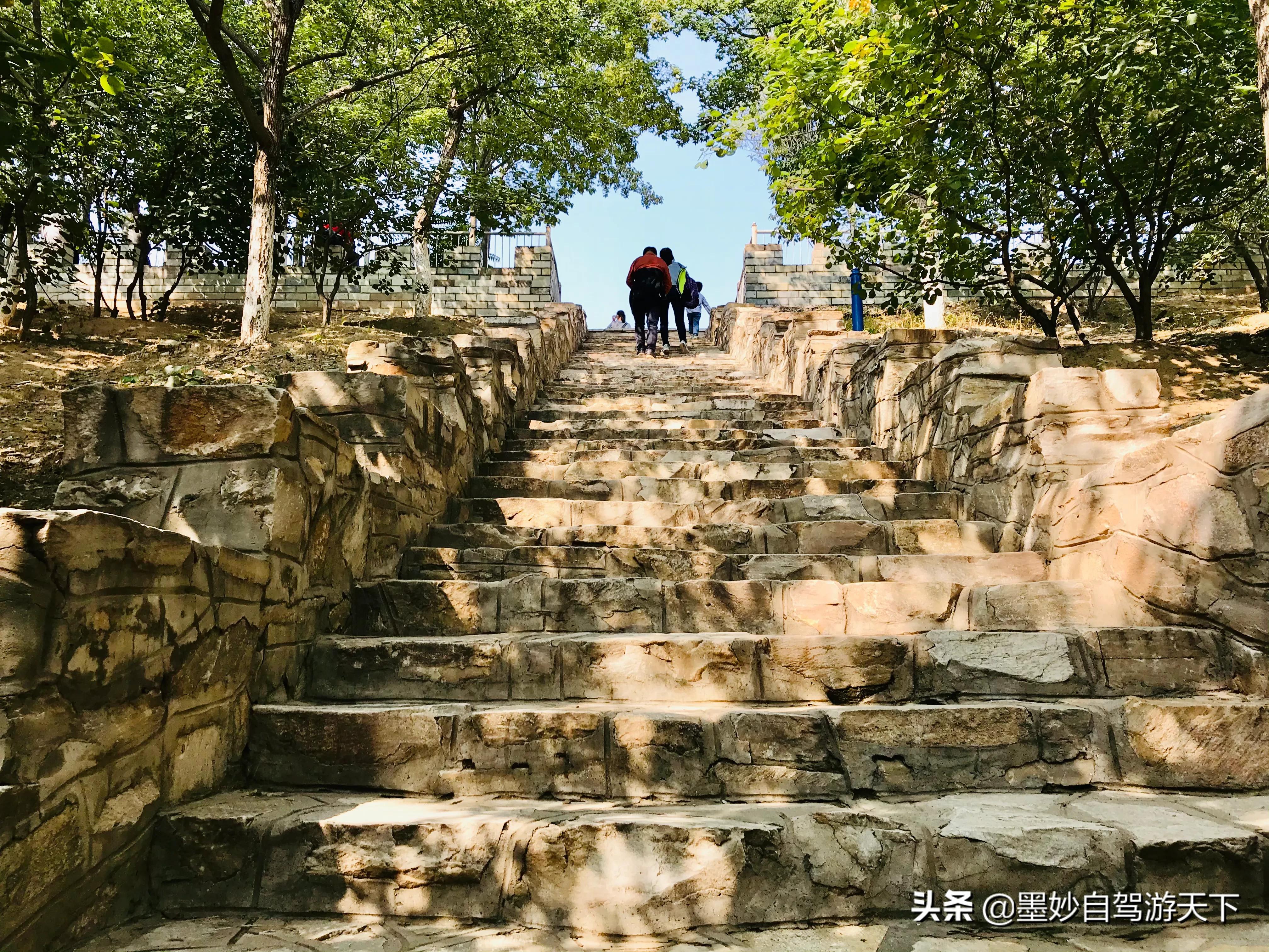 不出京城到江南｜北京市内交通便利的森林公园，端午洗肺好去处