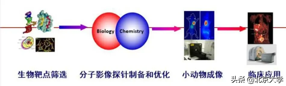强基计划，北大医学等你来！