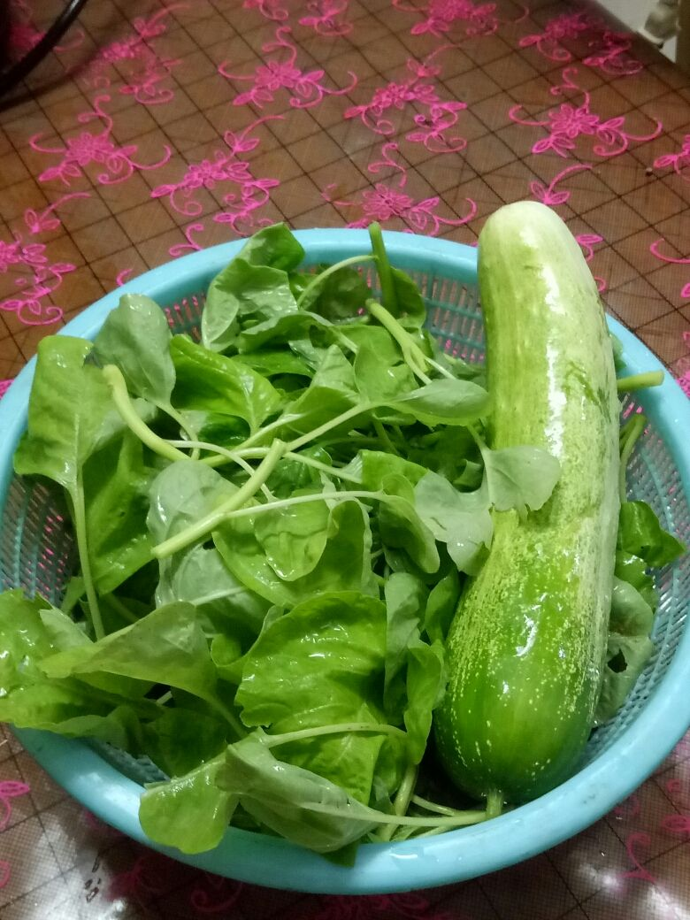 春季是一年伊始，抓住养生好时节，身体更棒