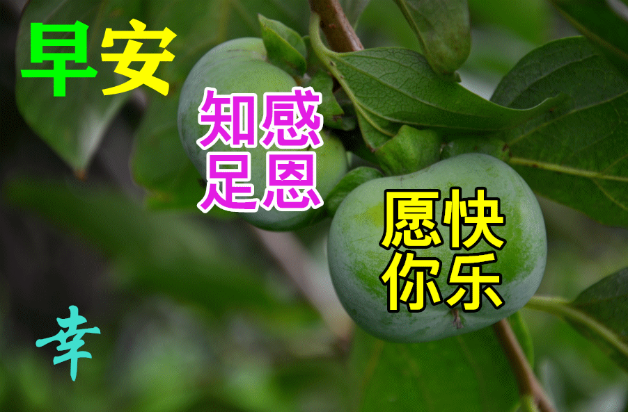 11月6日特别漂亮早上好祝福动态图片大全，深秋早晨好美图大全
