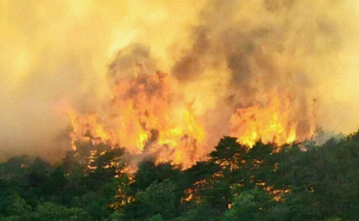 老山战场侦察英雄丁晓兵，被炸亲手割掉手臂，31年后成独臂少将