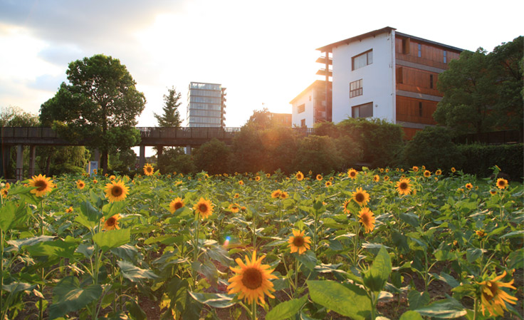 中国美术学院校考合格线发布，校考223分文化需多少分才能录取？