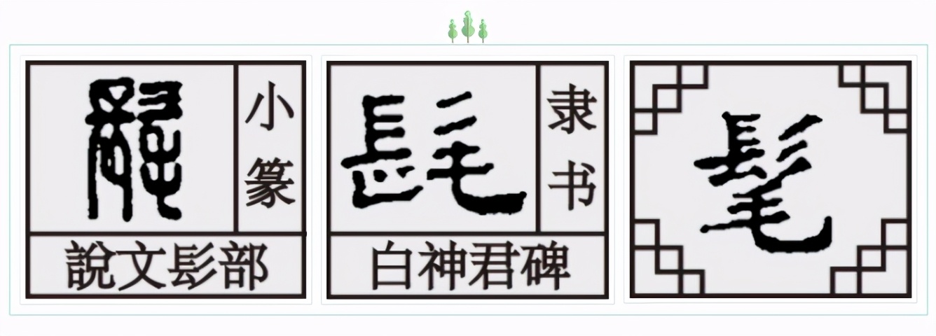 毛字家族：毛牦髦耄，终于认清了耄耋老人的模样