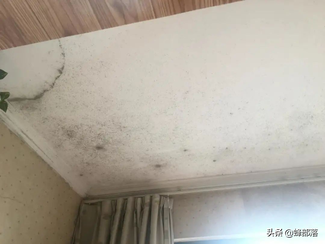 农村自建房墙体为啥会起皮掉落？如何避免和解决，2个解决方法