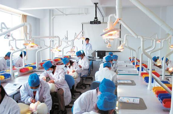 口腔医学学校（口腔医学）